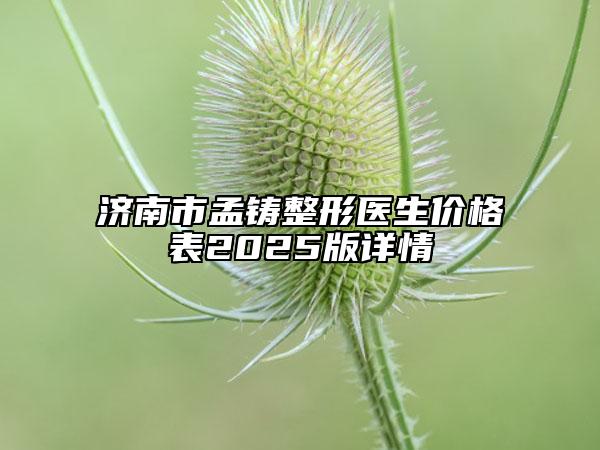 濟南市孟鑄整形醫(yī)生價格表2025版詳情