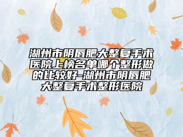 湖州市陰唇肥大整復(fù)手術(shù)醫(yī)院上榜名單哪個(gè)整形做的比較好-湖州市陰唇肥大整復(fù)手術(shù)整形醫(yī)院