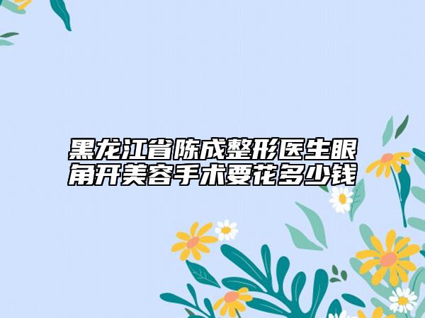 黑龍江省陳成整形醫(yī)生眼角開美容手術要花多少錢