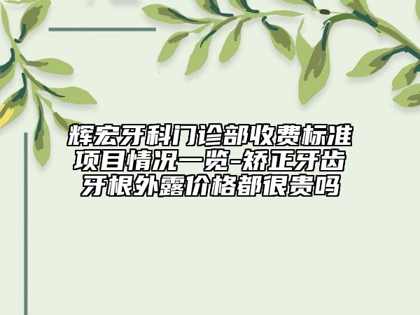 輝宏牙科門診部收費標準項目情況一覽-矯正牙齒牙根外露價格都很貴嗎