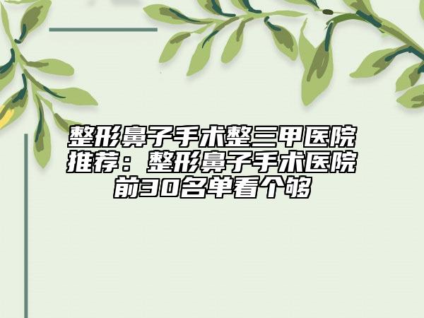 整形鼻子手術(shù)整三甲醫(yī)院推薦：整形鼻子手術(shù)醫(yī)院前30名單看個(gè)夠