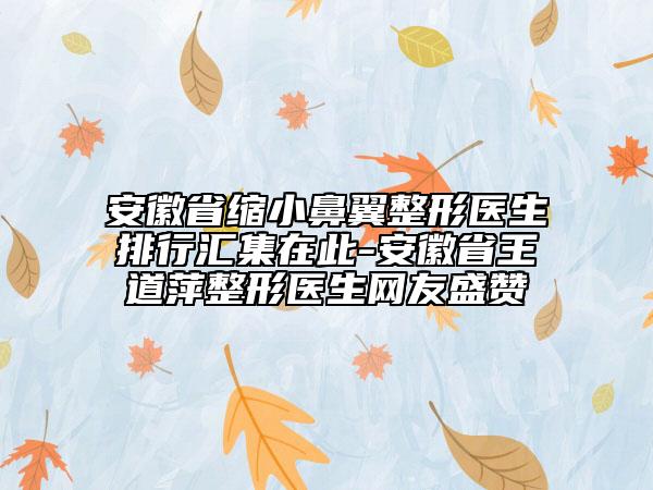 安徽省縮小鼻翼整形醫(yī)生排行匯集在此-安徽省王道萍整形醫(yī)生網(wǎng)友盛贊