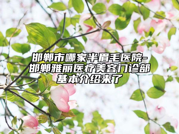 邯鄲市哪家半眉毛醫(yī)院-邯鄲雅麗醫(yī)療美容門診部基本介紹來了