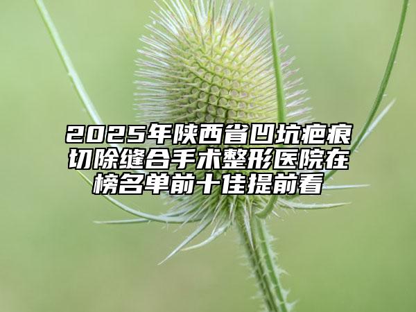 2025年陜西省凹坑疤痕切除縫合手術(shù)整形醫(yī)院在榜名單前十佳提前看