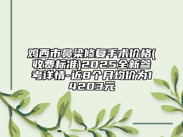 雞西市鼻梁修復(fù)手術(shù)價(jià)格(收費(fèi)標(biāo)準(zhǔn))2025全新參考詳情-近8個(gè)月均價(jià)為14203元