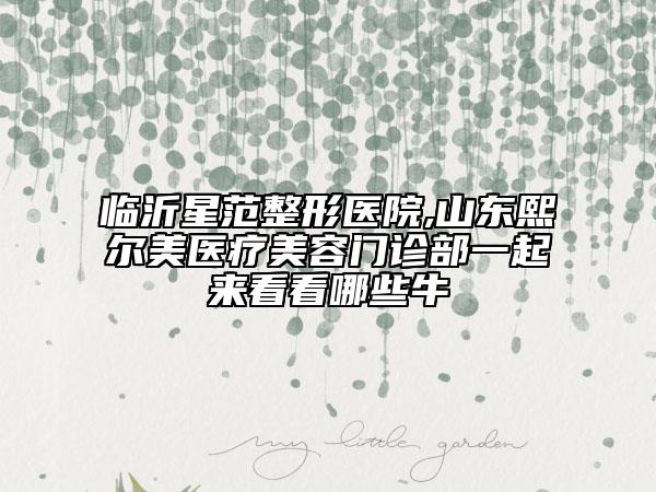 臨沂星范整形醫(yī)院,山東熙爾美醫(yī)療美容門診部一起來(lái)看看哪些牛