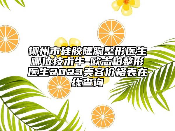 柳州市硅膠隆胸整形醫(yī)生哪位技術(shù)牛-歐志柏整形醫(yī)生2023美容價格表在線查詢