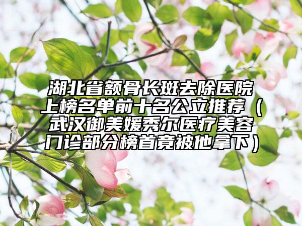 湖北省額骨長斑去除醫(yī)院上榜名單前十名公立推薦（武漢御美媛秀爾醫(yī)療美容門診部分榜首竟被他拿下）