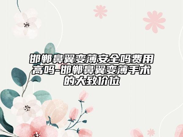 邯鄲鼻翼變薄安全嗎費(fèi)用高嗎-邯鄲鼻翼變薄手術(shù)的大致價(jià)位