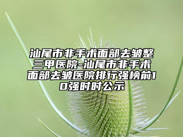 汕尾市非手術(shù)面部去皺整三甲醫(yī)院-汕尾市非手術(shù)面部去皺醫(yī)院排行強(qiáng)榜前10強(qiáng)時(shí)時(shí)公示