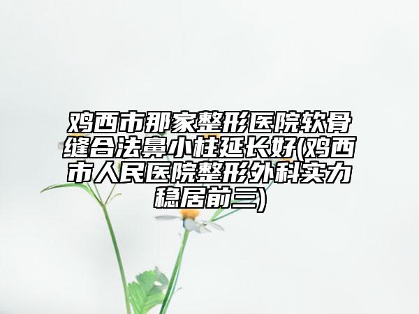 雞西市那家整形醫(yī)院軟骨縫合法鼻小柱延長好(雞西市人民醫(yī)院整形外科實(shí)力穩(wěn)居前三)