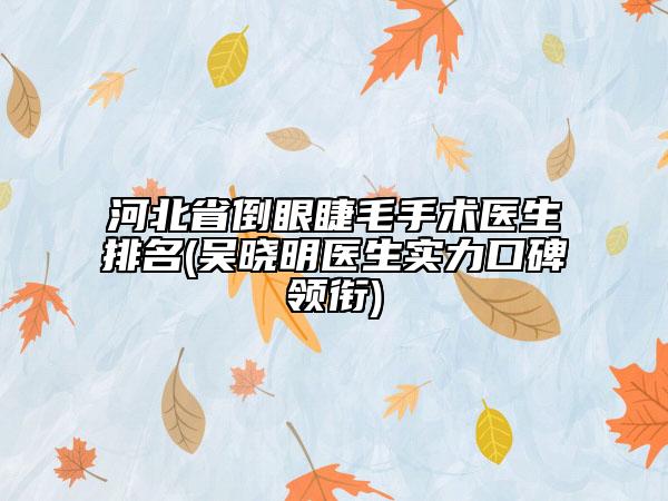 河北省倒眼睫毛手術(shù)醫(yī)生排名(吳曉明醫(yī)生實(shí)力口碑領(lǐng)銜)