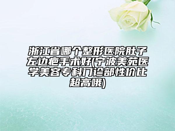 浙江省哪個(gè)整形醫(yī)院肚子左邊疤手術(shù)好(寧波美苑醫(yī)學(xué)美容?？崎T診部性價(jià)比超高哦)