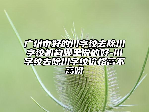 廣州市好的川字紋去除川字紋機(jī)構(gòu)哪里做的好-川字紋去除川字紋價(jià)格高不高呀