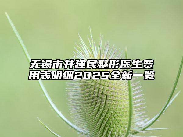 無錫市井建民整形醫(yī)生費用表明細(xì)2025全新一覽