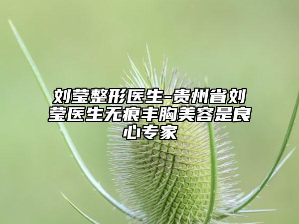 劉瑩整形醫(yī)生-貴州省劉瑩醫(yī)生無(wú)痕豐胸美容是良心專(zhuān)家
