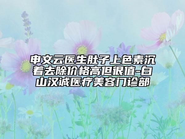 申文云醫(yī)生肚子上色素沉著去除價(jià)格高但很值-白山漢誠(chéng)醫(yī)療美容門診部