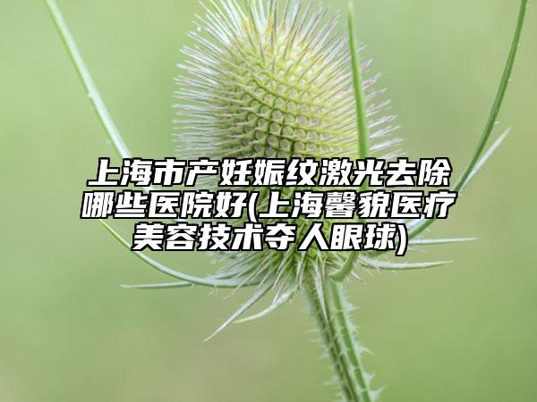 上海市產(chǎn)妊娠紋激光去除哪些醫(yī)院好(上海馨貌醫(yī)療美容技術(shù)奪人眼球)