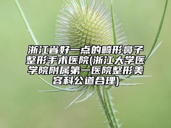 浙江省好一點(diǎn)的畸形鼻子整形手術(shù)醫(yī)院(浙江大學(xué)醫(yī)學(xué)院附屬第一醫(yī)院整形美容科公道合理)