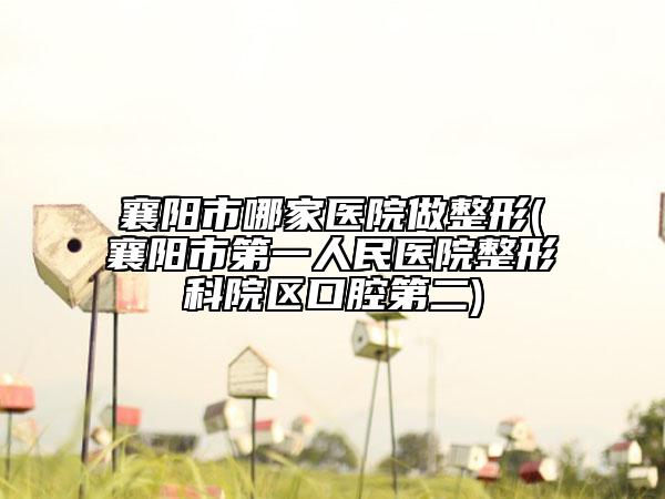 襄陽市哪家醫(yī)院做整形(襄陽市第一人民醫(yī)院整形科院區(qū)口腔第二)