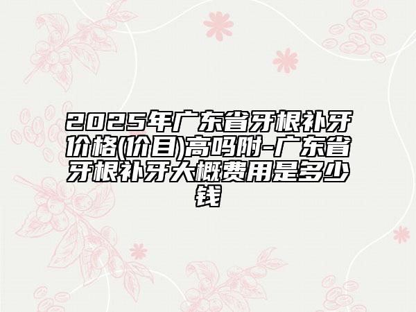 2025年廣東省牙根補(bǔ)牙價(jià)格(價(jià)目)高嗎附-廣東省牙根補(bǔ)牙大概費(fèi)用是多少錢