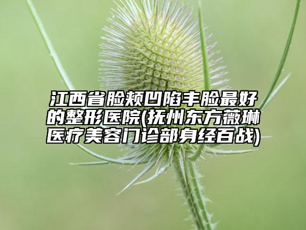 江西省臉頰凹陷豐臉最好的整形醫(yī)院(撫州東方薇琳醫(yī)療美容門診部身經(jīng)百戰(zhàn))