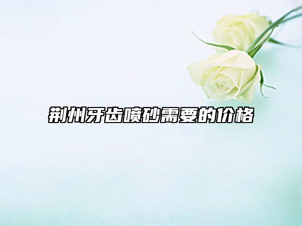 荊州牙齒噴砂需要的價格