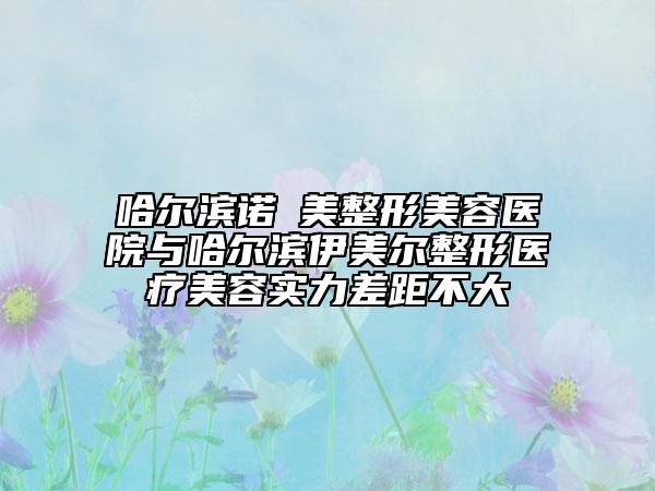 哈爾濱諾嬄美整形美容醫(yī)院與哈爾濱伊美爾整形醫(yī)療美容實力差距不大