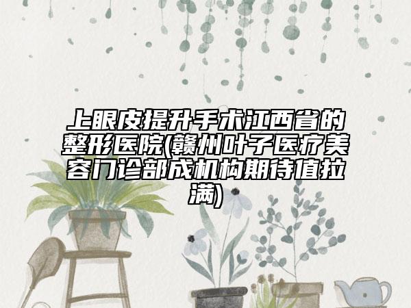 上眼皮提升手術(shù)江西省的整形醫(yī)院(贛州葉子醫(yī)療美容門診部成機(jī)構(gòu)期待值拉滿)