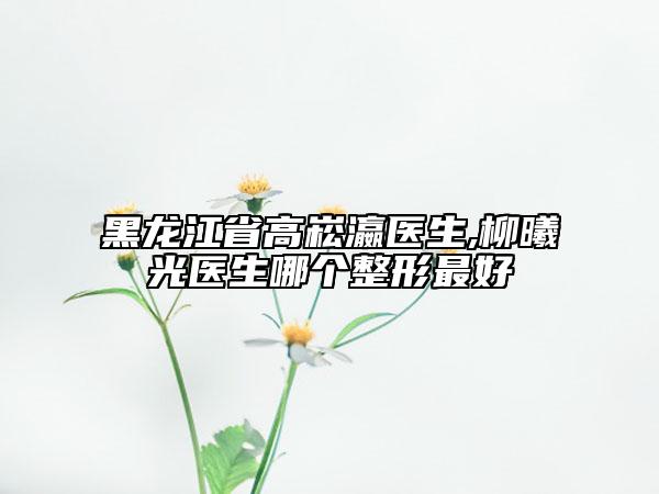 黑龍江省高崧瀛醫(yī)生,柳曦光醫(yī)生哪個(gè)整形最好