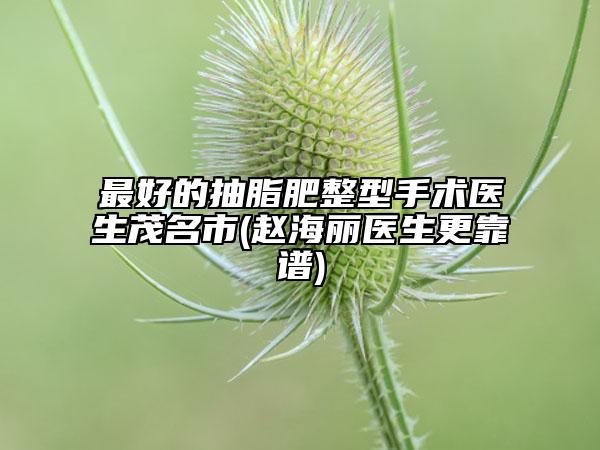 最好的抽脂肥整型手術(shù)醫(yī)生茂名市(趙海麗醫(yī)生更靠譜)