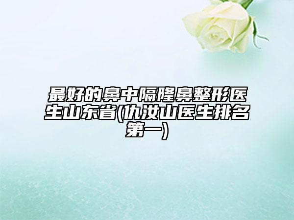 最好的鼻中隔隆鼻整形醫(yī)生山東省(仇汝山醫(yī)生排名第一)