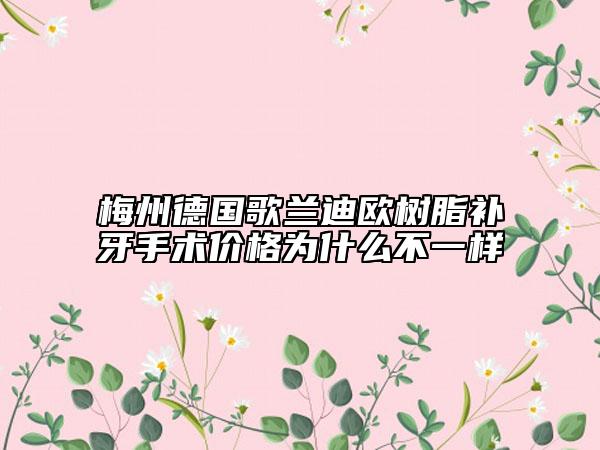 梅州德國歌蘭迪歐樹脂補牙手術(shù)價格為什么不一樣
