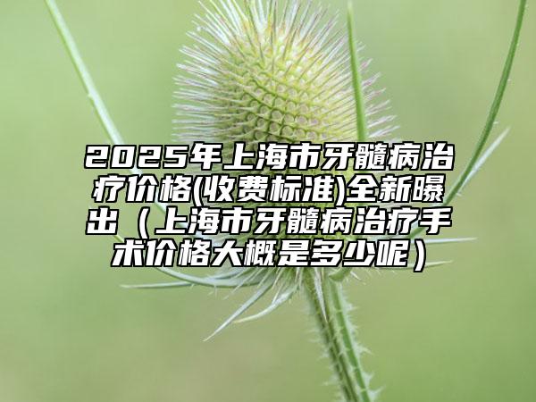 2025年上海市牙髓病治療價(jià)格(收費(fèi)標(biāo)準(zhǔn))全新曝出（上海市牙髓病治療手術(shù)價(jià)格大概是多少呢）