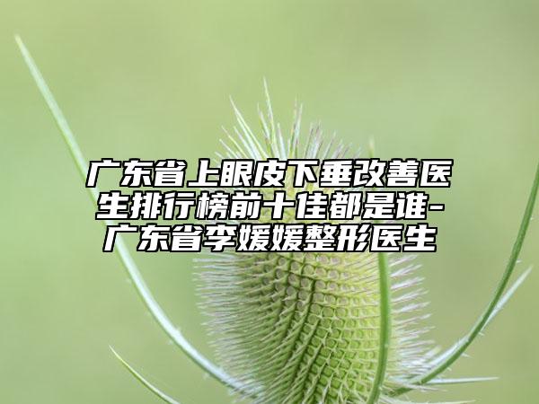 廣東省上眼皮下垂改善醫(yī)生排行榜前十佳都是誰(shuí)-廣東省李媛媛整形醫(yī)生