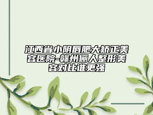 江西省小陰唇肥大矯正美容醫(yī)院-贛州儷人整形美容對比誰更強