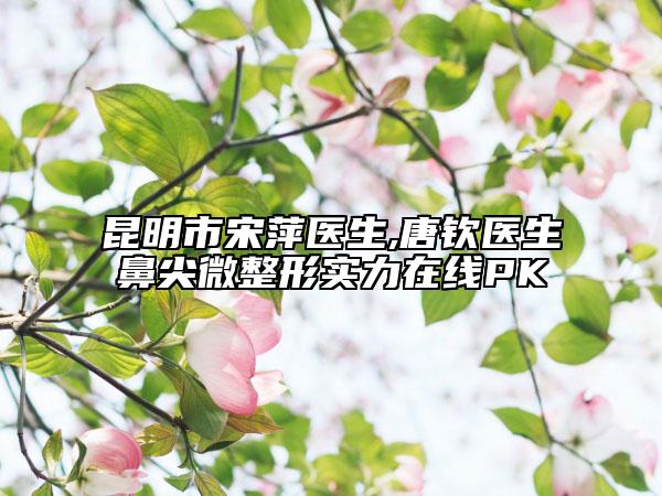昆明市宋萍醫(yī)生,唐欽醫(yī)生鼻尖微整形實(shí)力在線PK