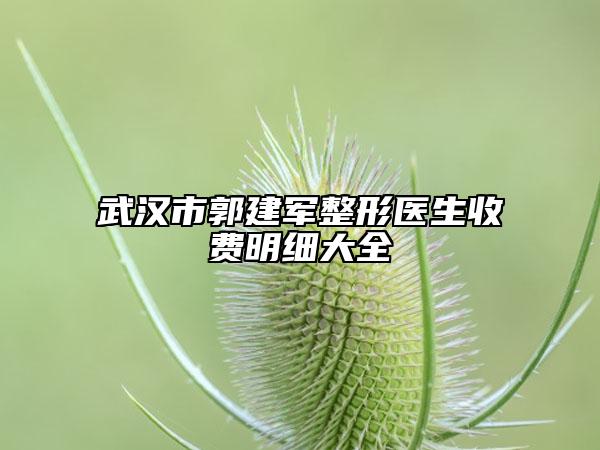 武漢市郭建軍整形醫(yī)生收費明細大全