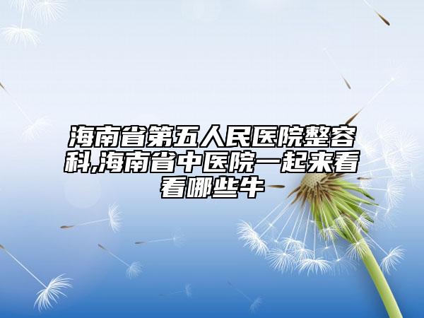 海南省第五人民醫(yī)院整容科,海南省中醫(yī)院一起來(lái)看看哪些牛