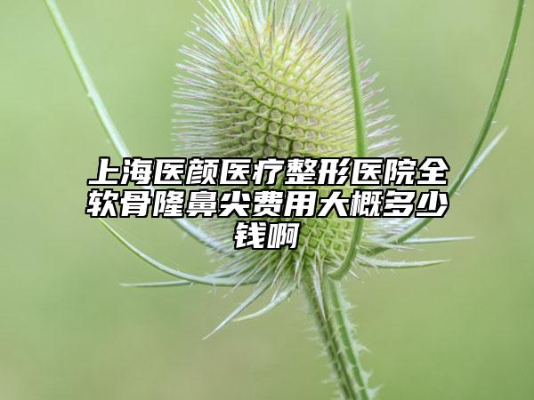 上海醫(yī)顏醫(yī)療整形醫(yī)院全軟骨隆鼻尖費(fèi)用大概多少錢(qián)啊