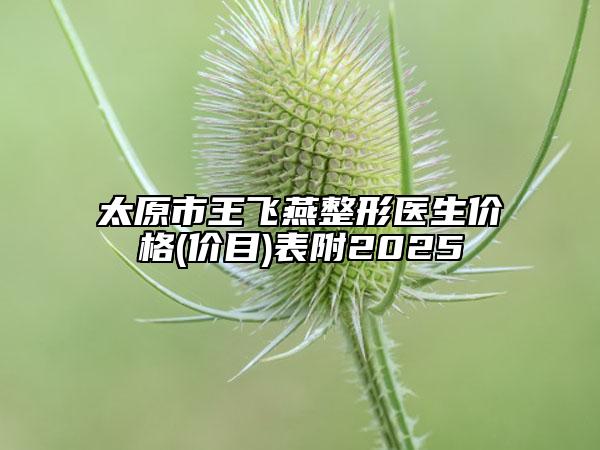 太原市王飛燕整形醫(yī)生價格(價目)表附2025