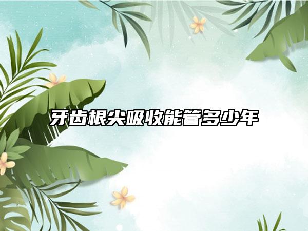 牙齒根尖吸收能管多少年