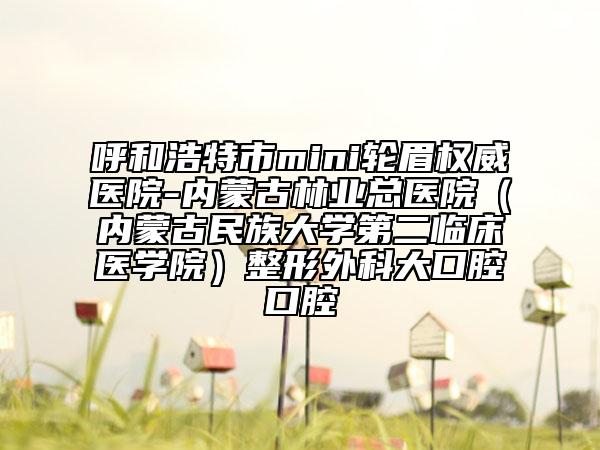 呼和浩特市mini輪眉權(quán)威醫(yī)院-內(nèi)蒙古林業(yè)總醫(yī)院（內(nèi)蒙古民族大學(xué)第二臨床醫(yī)學(xué)院）整形外科大口腔口腔