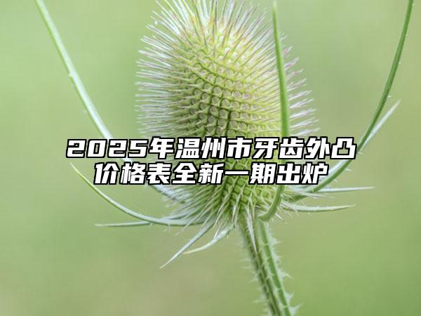 2025年溫州市牙齒外凸價格表全新一期出爐