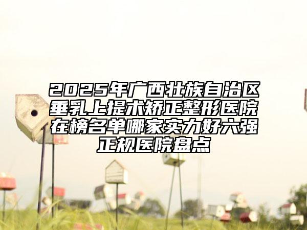 2025年廣西壯族自治區(qū)垂乳上提術(shù)矯正整形醫(yī)院在榜名單哪家實力好六強正規(guī)醫(yī)院盤點