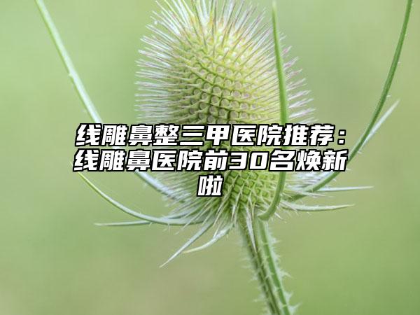 線雕鼻整三甲醫(yī)院推薦：線雕鼻醫(yī)院前30名煥新啦