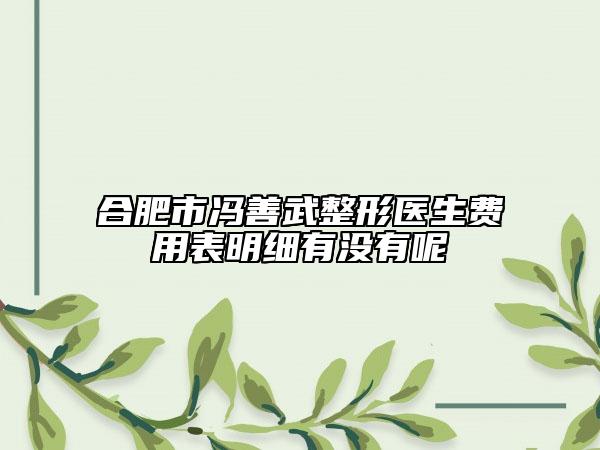 合肥市馮善武整形醫(yī)生費用表明細(xì)有沒有呢