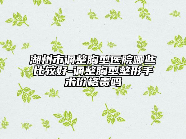 湖州市調(diào)整胸型醫(yī)院哪些比較好-調(diào)整胸型整形手術價格貴嗎