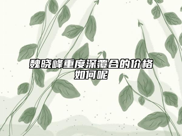 魏曉峰重度深覆合的價格如何呢