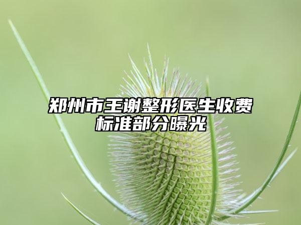 鄭州市王謝整形醫(yī)生收費(fèi)標(biāo)準(zhǔn)部分曝光